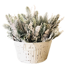 5.5" Half Wall Basket