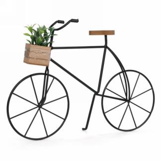 Bicycle with Plant